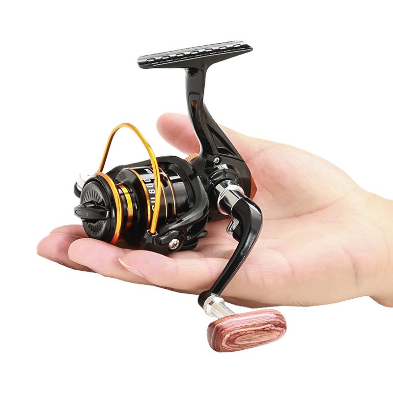 Daiwa Reel Bg - Mulinello da Pesca Spinning Serie 800,