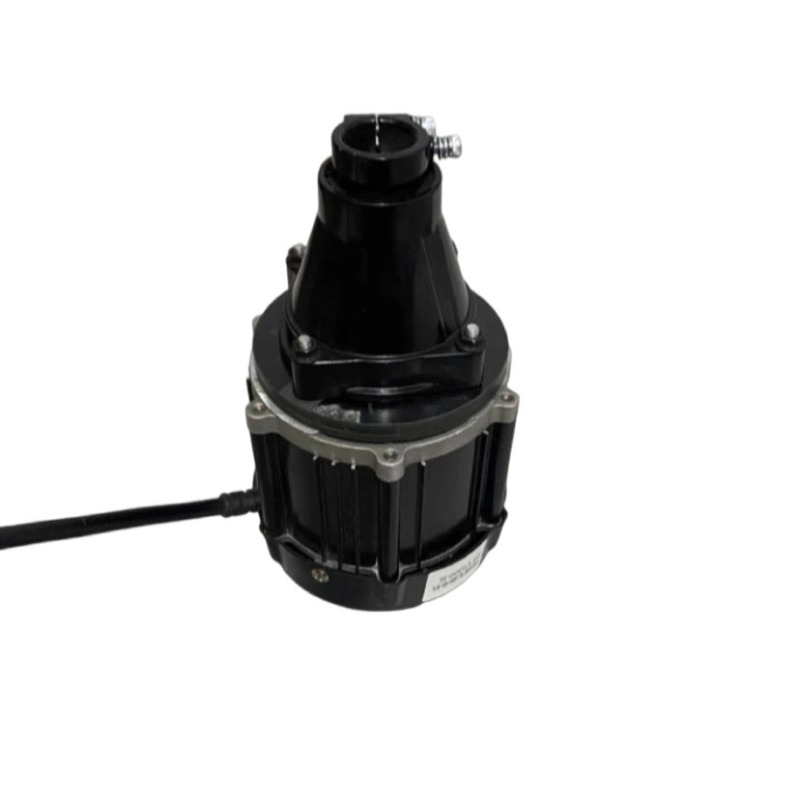 Motore Fuoribordo Brushless 12 - Fishing Boat Oar recensione e prezzo